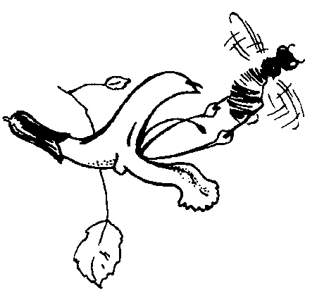 Радуга под окнами (с илл.) i_022.png