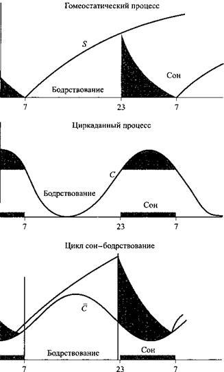 Сон. Почему мы спим и как нам это лучше всего удается _14.jpg