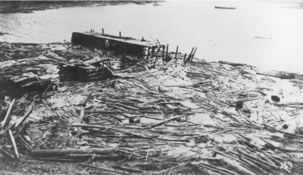 Tsunami i_004.jpg