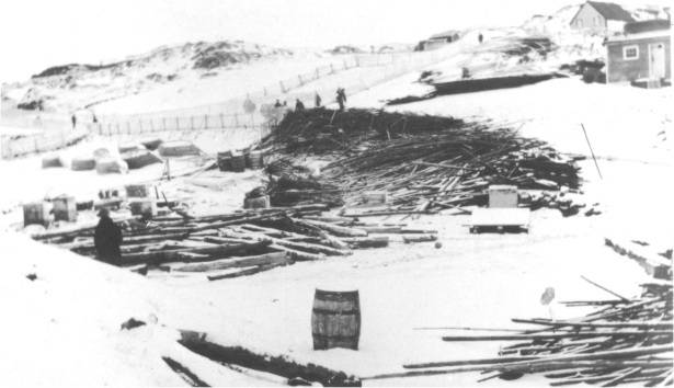 Tsunami i_010.jpg