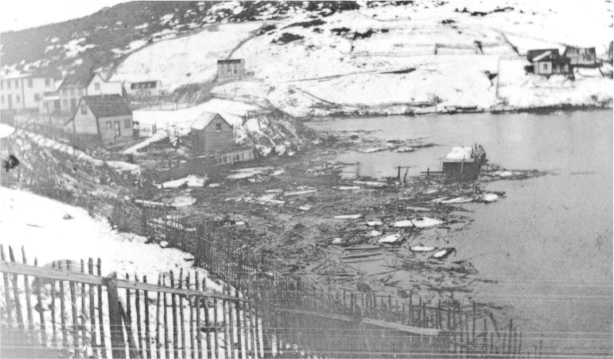 Tsunami i_011.jpg