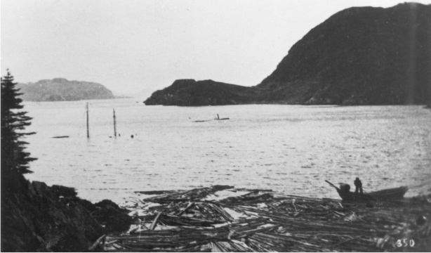 Tsunami i_012.jpg