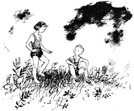 Весёлый камушек i_016.png