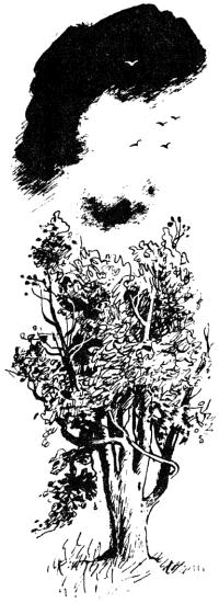 Весёлый камушек i_020.png