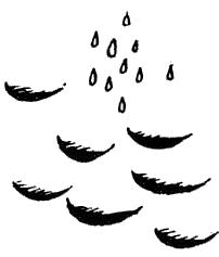 Весёлый камушек i_023.png