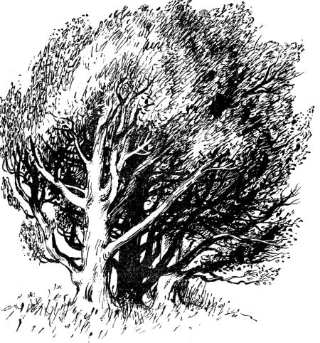 Весёлый камушек i_043.png