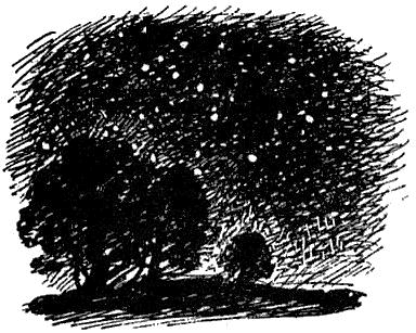 Весёлый камушек i_046.png