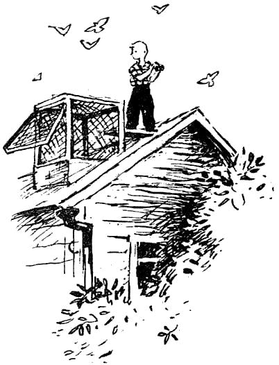 Весёлый камушек i_049.png