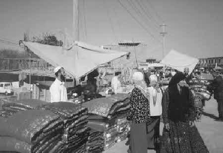 Тайны великой пустыни i_061.jpg