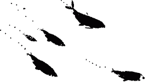 Правдивая история про девочку Эмили и морское чудовище img10.png