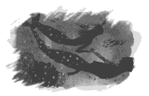 Правдивая история про девочку Эмили и морское чудовище g08.png