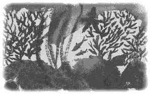 Правдивая история про девочку Эмили и морское чудовище img17.png