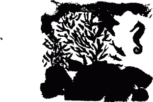 Правдивая история про девочку Эмили и морское чудовище img05.png