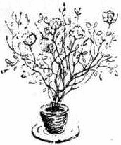 Пушистый гость i_017.png