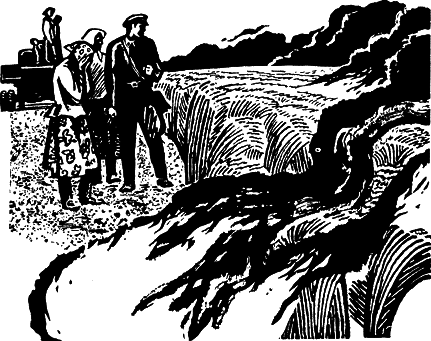 Жизнь такая, как надо p179.png
