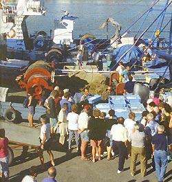 Журнал «Вокруг Света» №05 за 1997 год TAG_img_cmn_2006_09_20_006_jpg19027