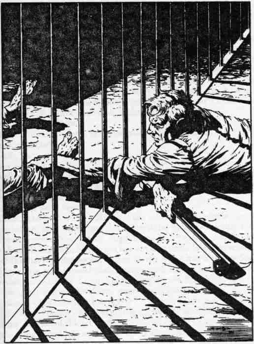 The Stand. Das letze Gefecht i_005.jpg