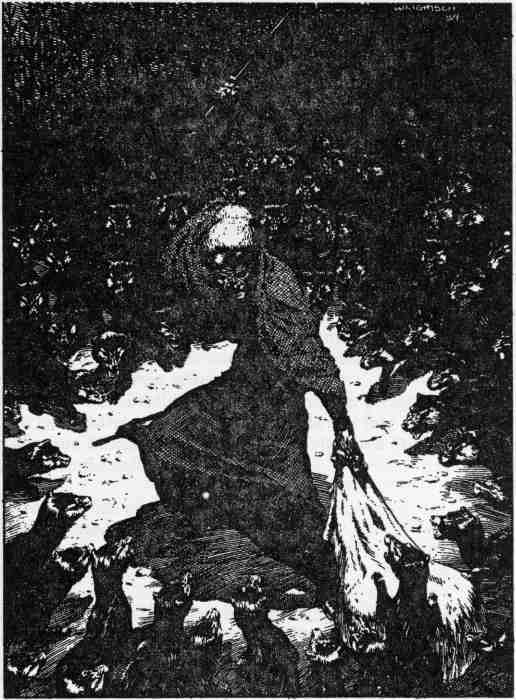 The Stand. Das letze Gefecht i_007.jpg