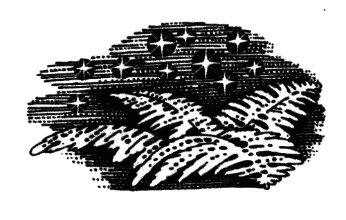 Голоса в ночи i_008.png