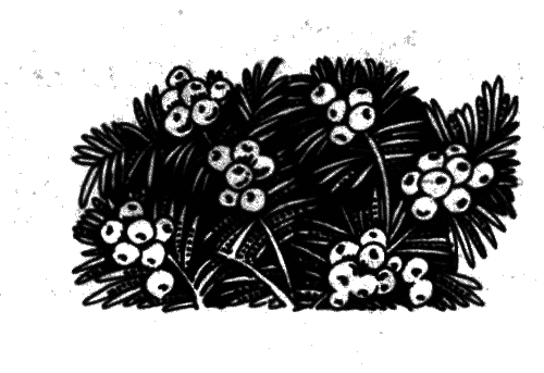 Голоса в ночи i_015.png