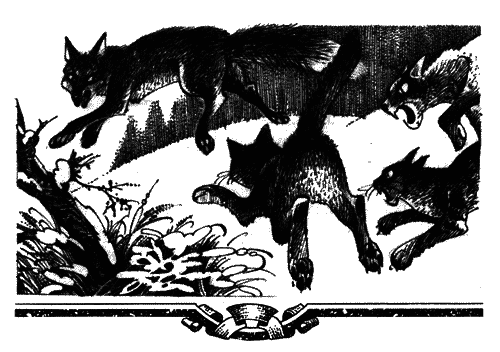 Голоса в ночи i_020.png