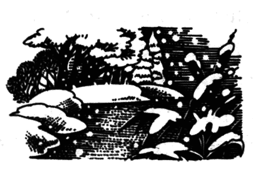 Голоса в ночи i_017.png