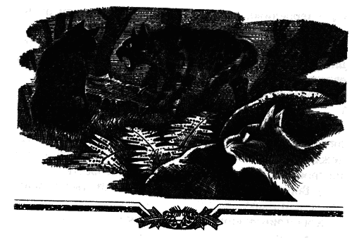 Голоса в ночи i_035.png