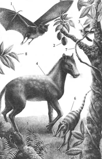 До и после динозавров paleogen.jpg