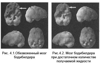 Измени мозг - изменится и тело _18.jpg