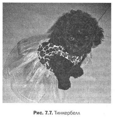 Измени мозг - изменится и тело _29.jpg