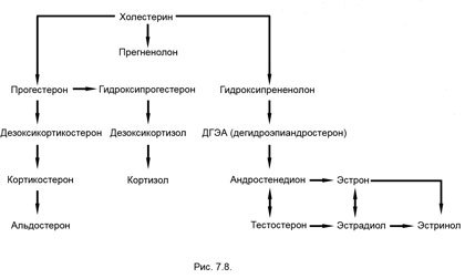 Измени мозг - изменится и тело _30.jpg