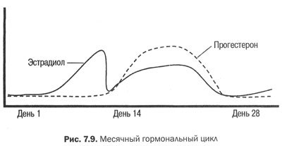 Измени мозг - изменится и тело _31.jpg