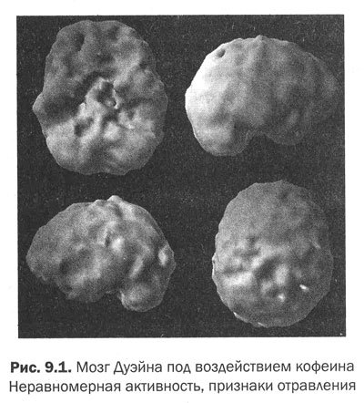 Измени мозг - изменится и тело _35.jpg