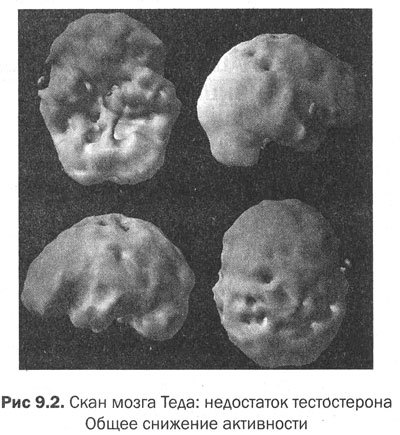Измени мозг - изменится и тело _36.jpg