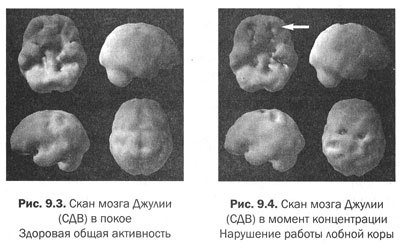 Измени мозг - изменится и тело _37.jpg