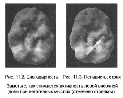 Измени мозг - изменится и тело _44.jpg