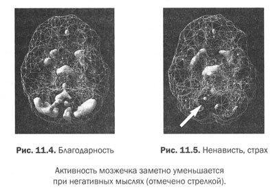 Измени мозг - изменится и тело _45.jpg