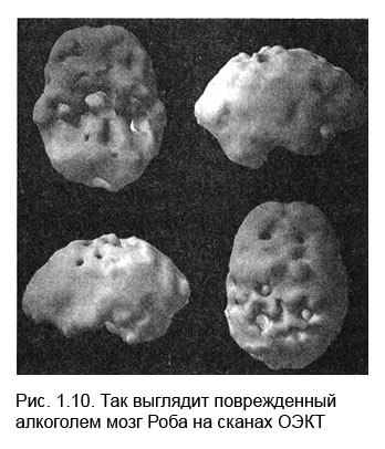 Измени мозг - изменится и тело _9.jpg