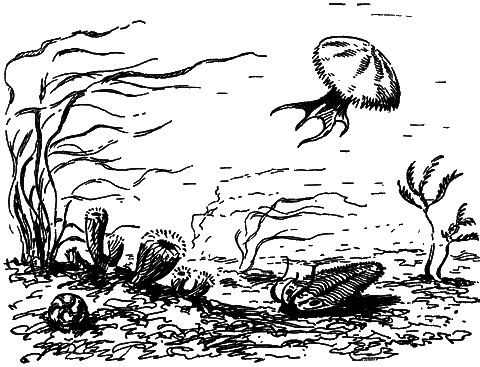 Путешествие в прошлое i_013.png