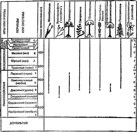 Следы трав индейских i_002.jpg