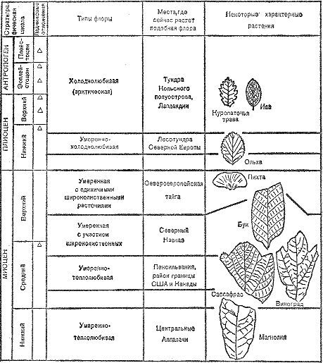 Следы трав индейских i_026.jpg