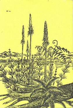Следы трав индейских i_054.jpg