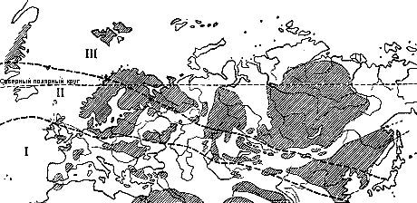 Следы трав индейских i_008.jpg