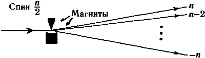Тени разума. В поисках науки о сознании _56.png