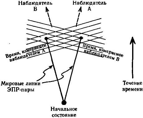 Тени разума. В поисках науки о сознании _62.png
