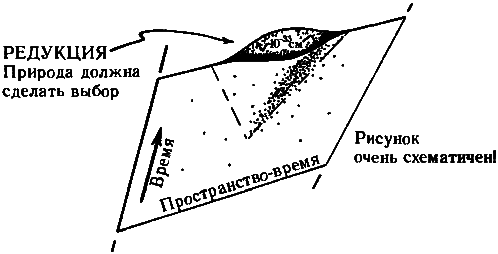 Тени разума. В поисках науки о сознании _70.png