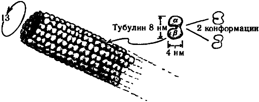 Тени разума. В поисках науки о сознании _76.png