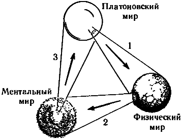 Тени разума. В поисках науки о сознании _90.png