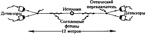 Тени разума. В поисках науки о сознании _35.png