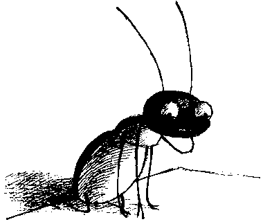 Шедевр i_090.png